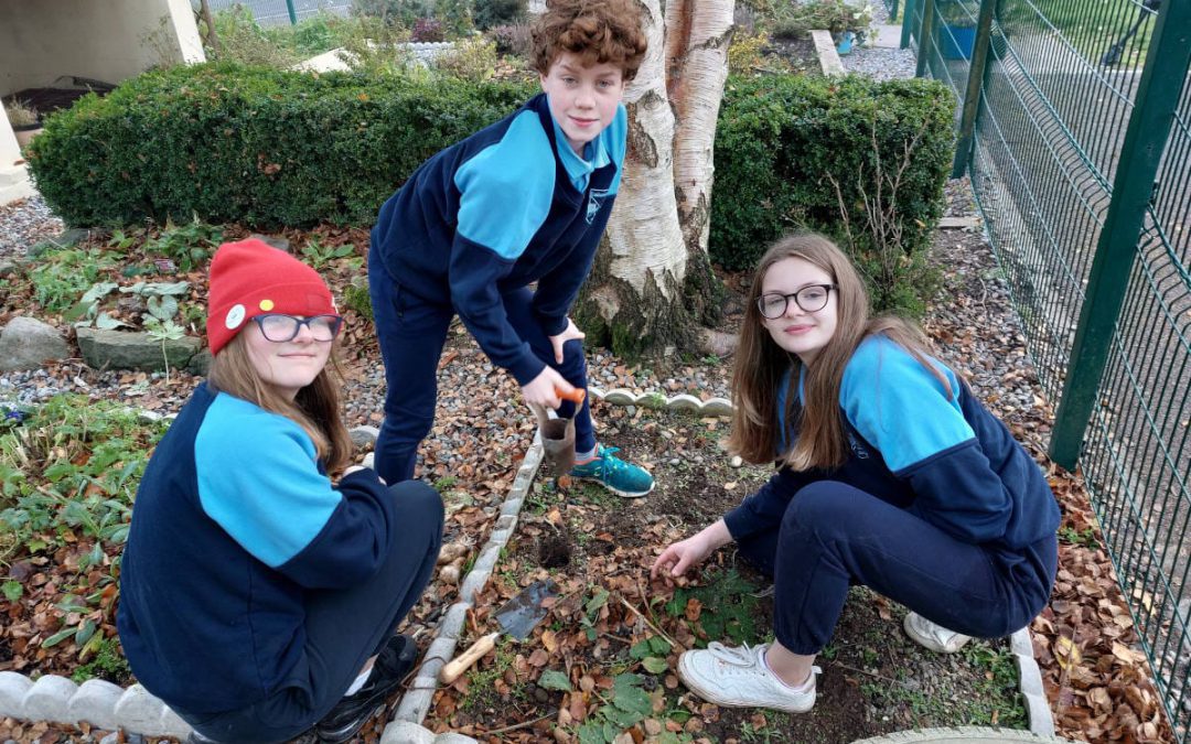 Getting Winter Ready in the Garden