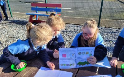 Maths Trails 1️⃣2️⃣3️⃣