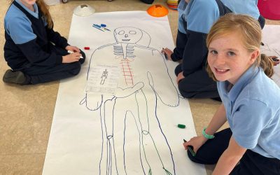 🦴 Those Bones, Those Bones 🦴