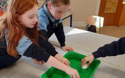 Second Class Scientist!