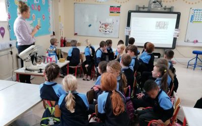 Second Class Bake Off