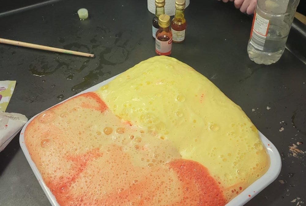 Science Week in Senior Infants