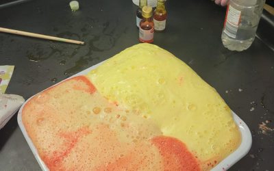 Science Week in Senior Infants