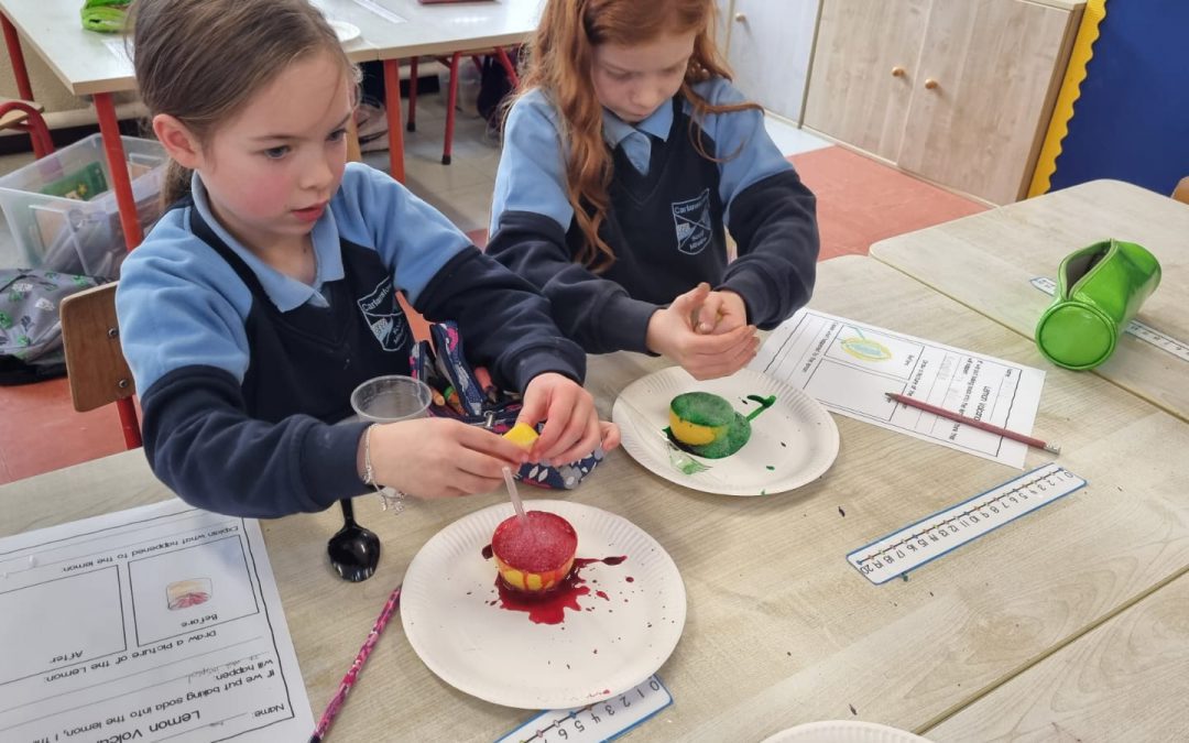 Science Week Round Up!