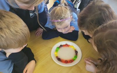 Science Week Observations!