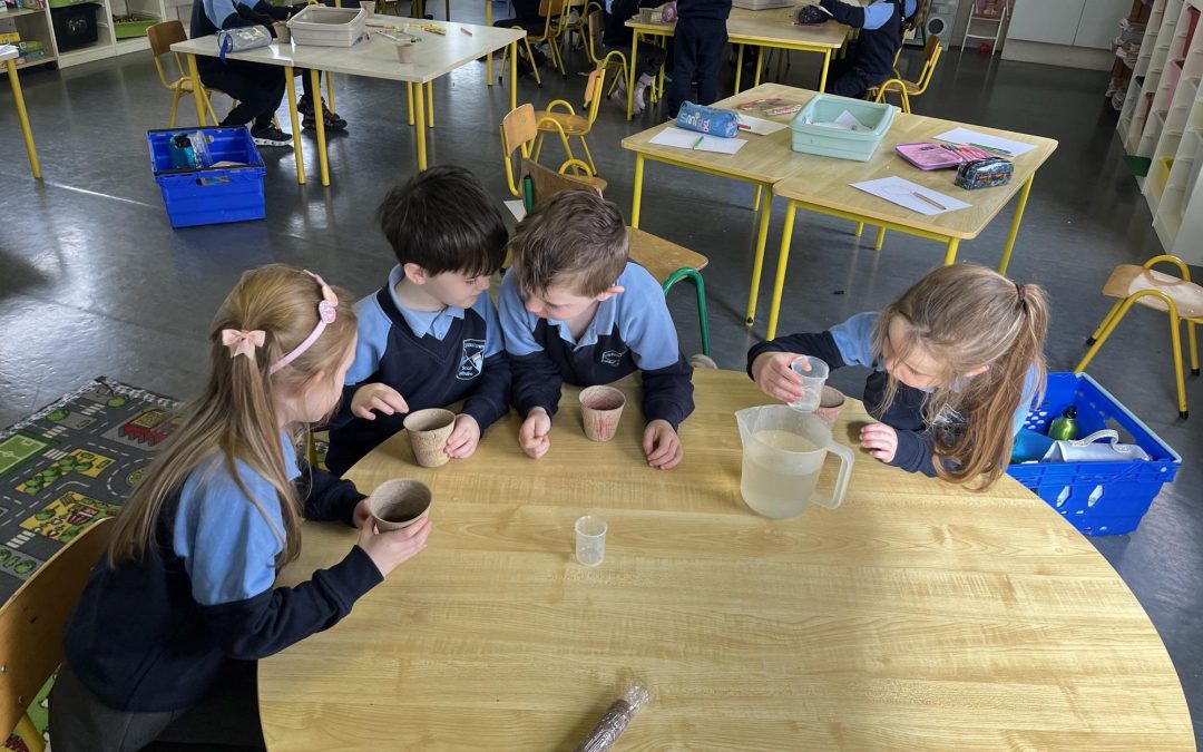 Our Little Green Fingers!