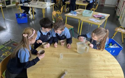 Our Little Green Fingers!