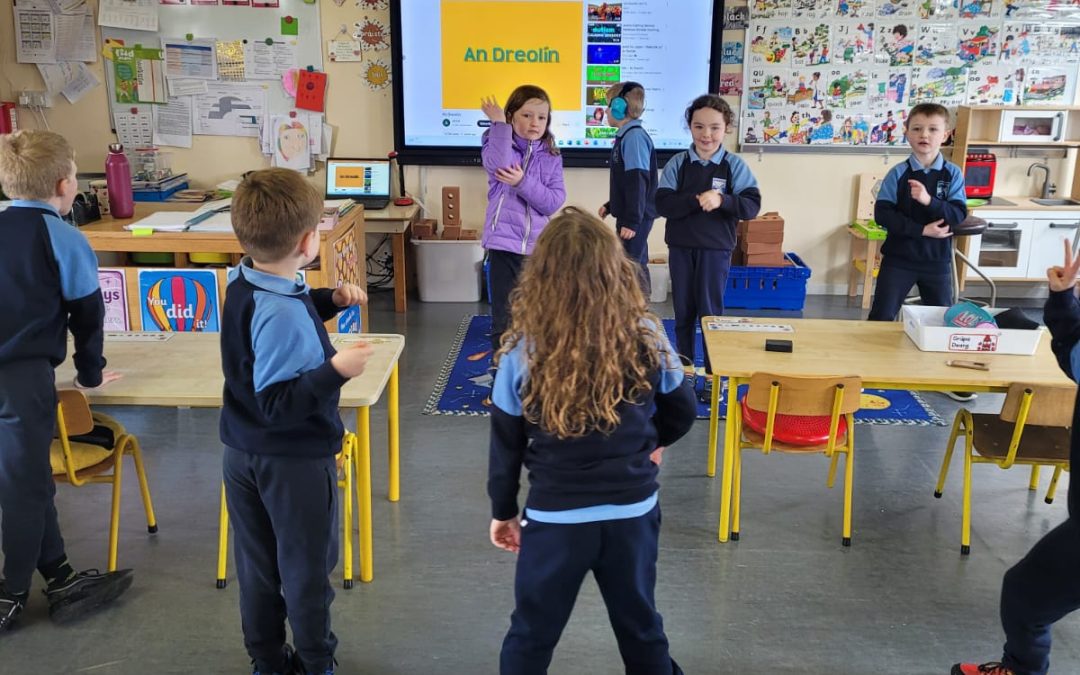 Seachtain na Gaeilge🇨🇮