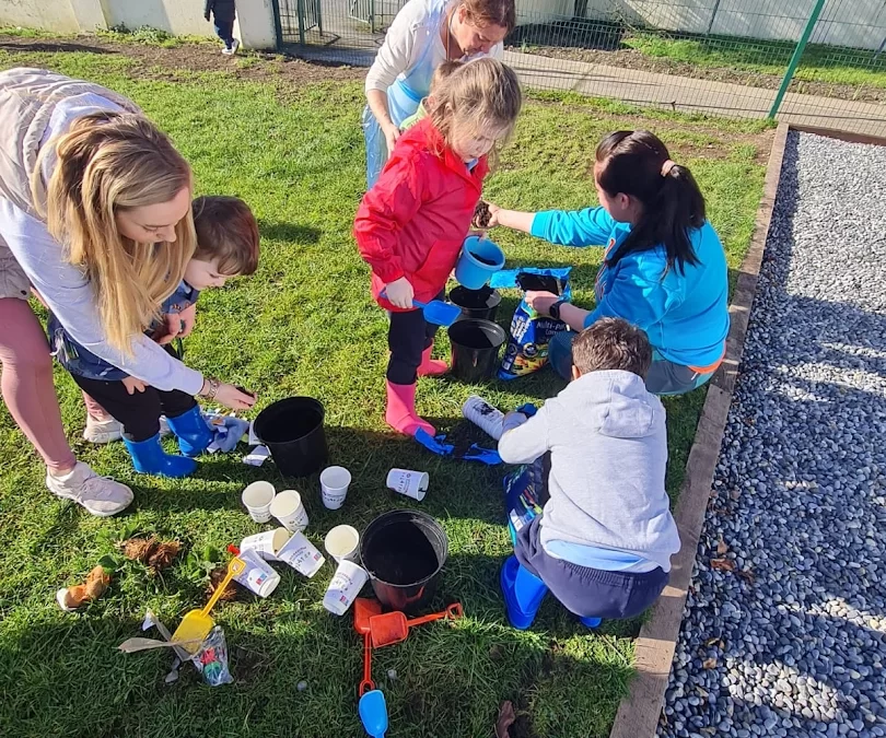 🌷Spring in Little Stars 🪻