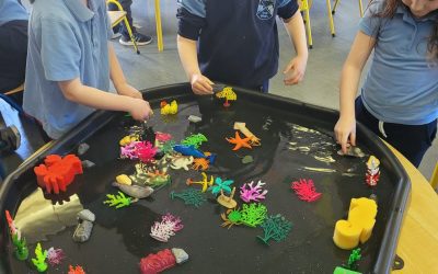 🐆🦁 🦓AG AN ZÚ 🐒🐘🦩