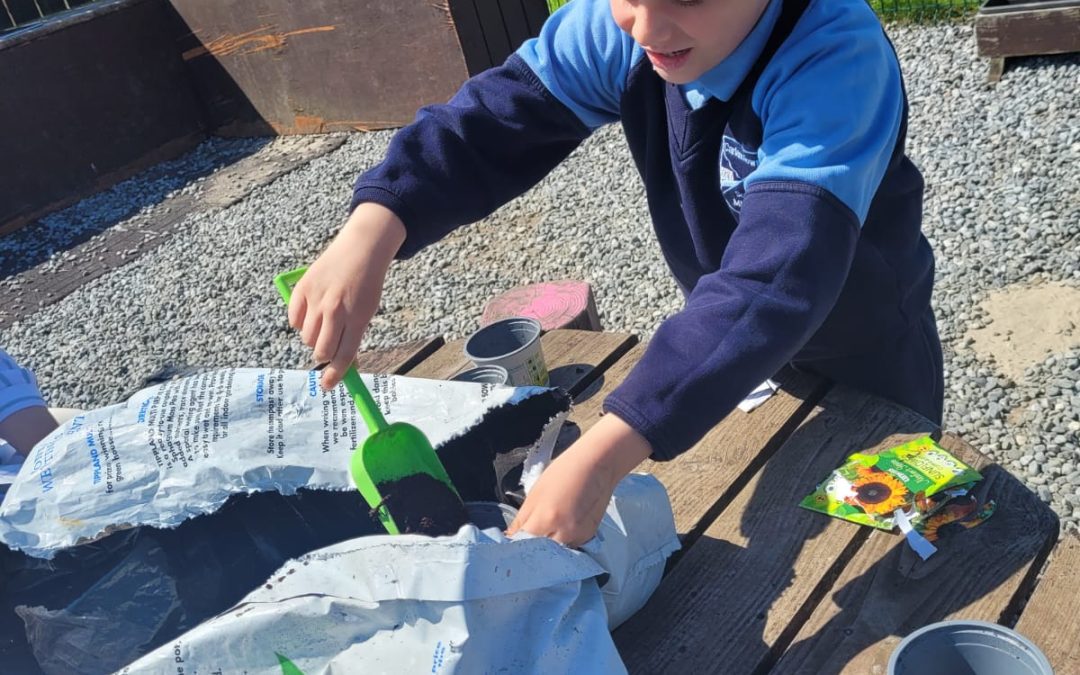 ☀️ Fun in the Sun ☀️