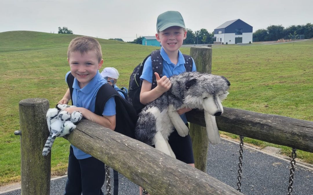 🐻Teddy Bears Picnic🐻