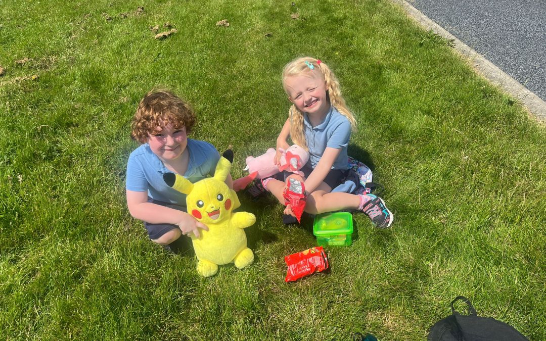 Teddy Bear Picnic in Deerpark