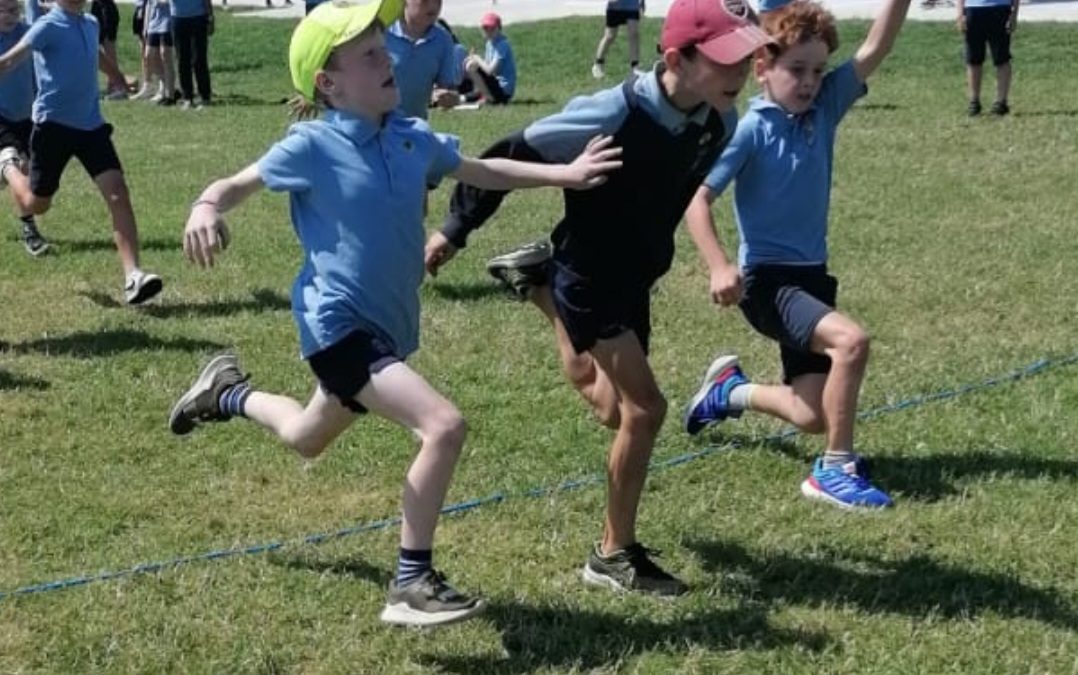 Sports Week Races🏅🏆🎖