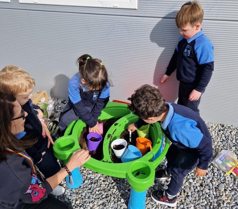 Planting Tulips 🌷