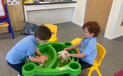 Clean Hands 🧼👋