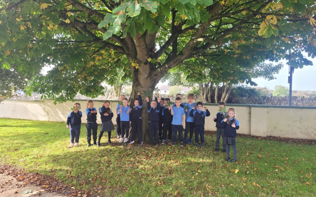 Autumn, the Year’s Last Loveliest Smile 🍃 🍂