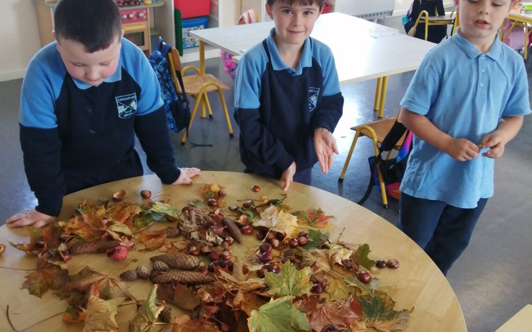 Autumn Adventures 🍂🍂