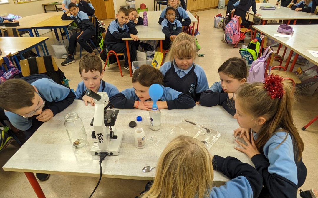 Science Week Fun