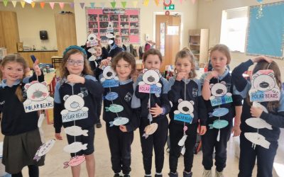 Polar Explorations 🐻‍❄🐧