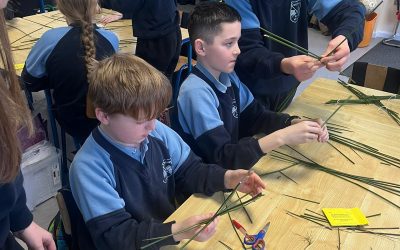 St. Brigid’s Crosses