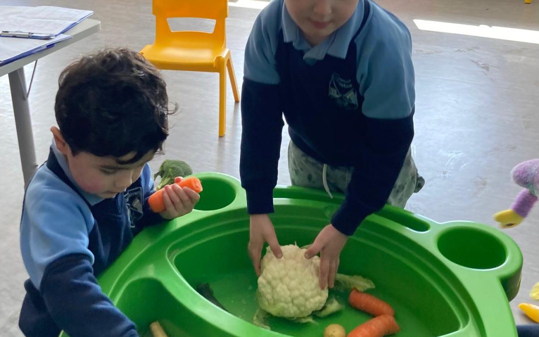 Fruits and Veggies🍎 🫐🥕🥒🥔