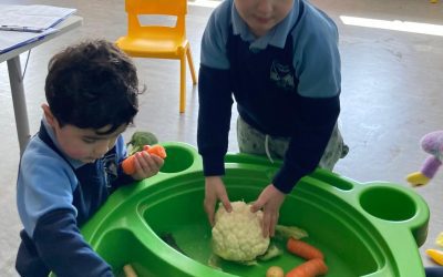 Fruits and Veggies🍎 🫐🥕🥒🥔