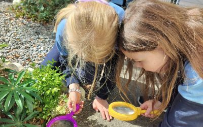 The Great Outdoors 🍃