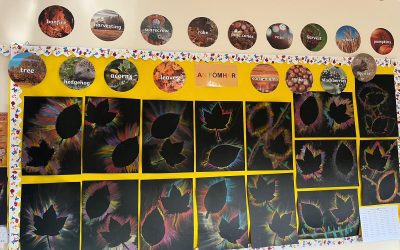 All About Autumn 🍂