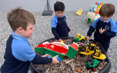 Harvest and animals in autumn 🍂