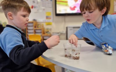 Science Week in Little Stars