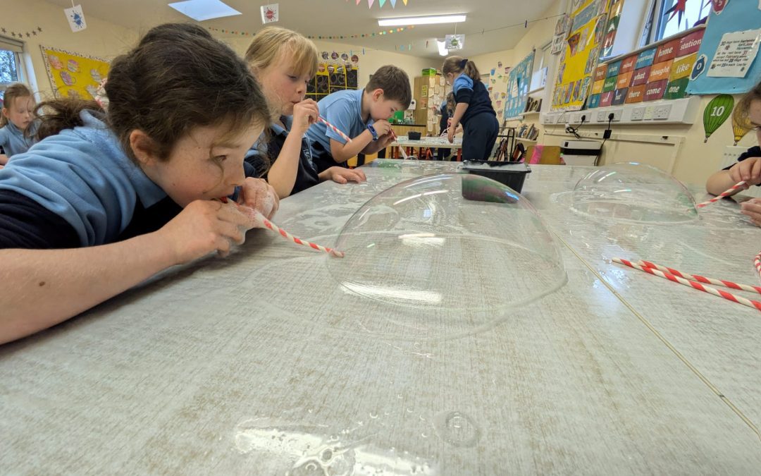 Science Week Round Up in Ms Murray’s Rm