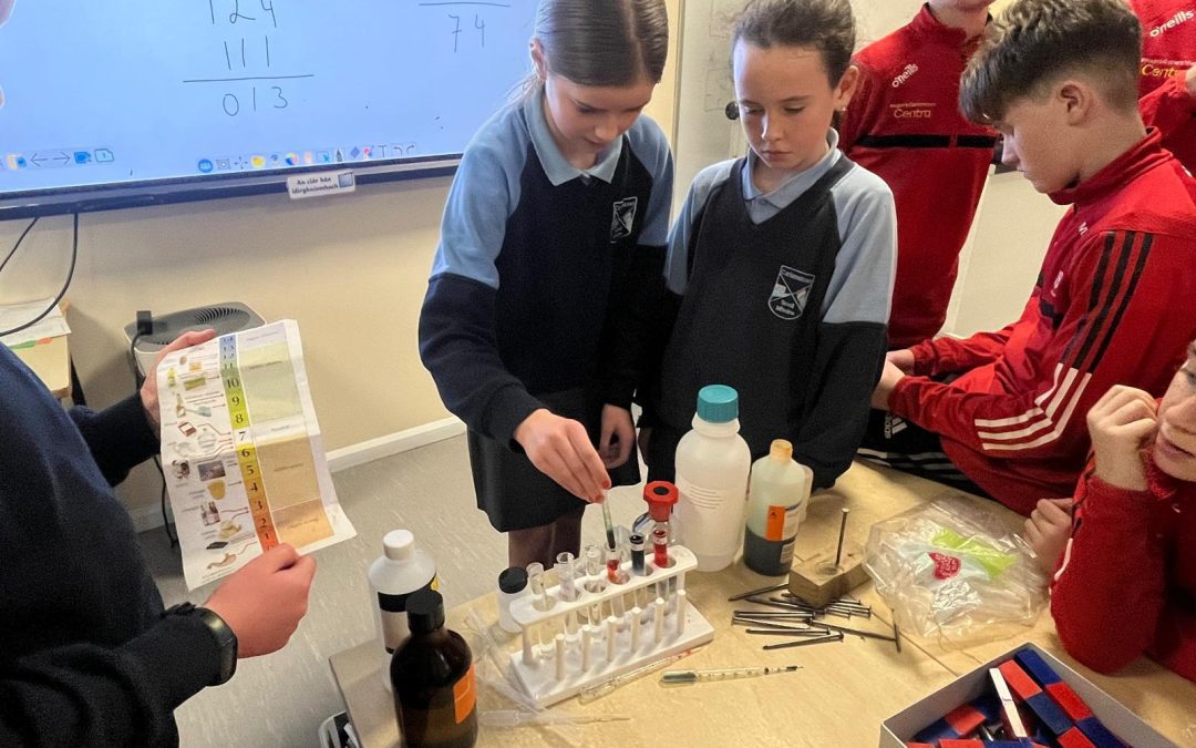 🧪Test Tubes & Microscopes… it must be Science Week in Fifth & Sixth Class 🔬