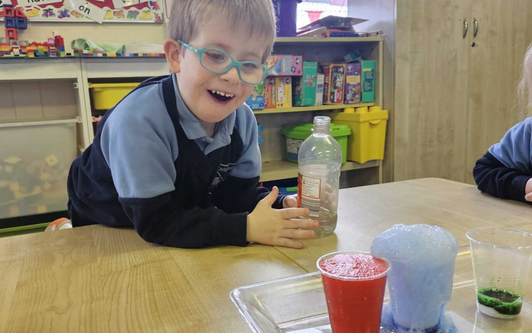 Science Week in Senior Infants
