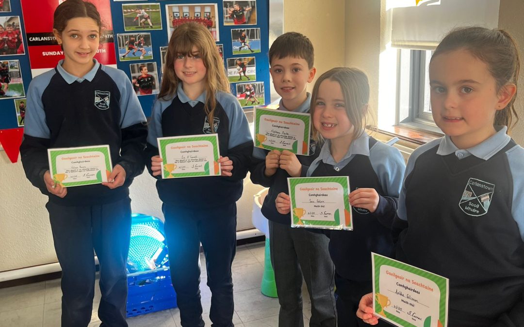 Gaeilgeoirí na Seachtaine 🇮🇪