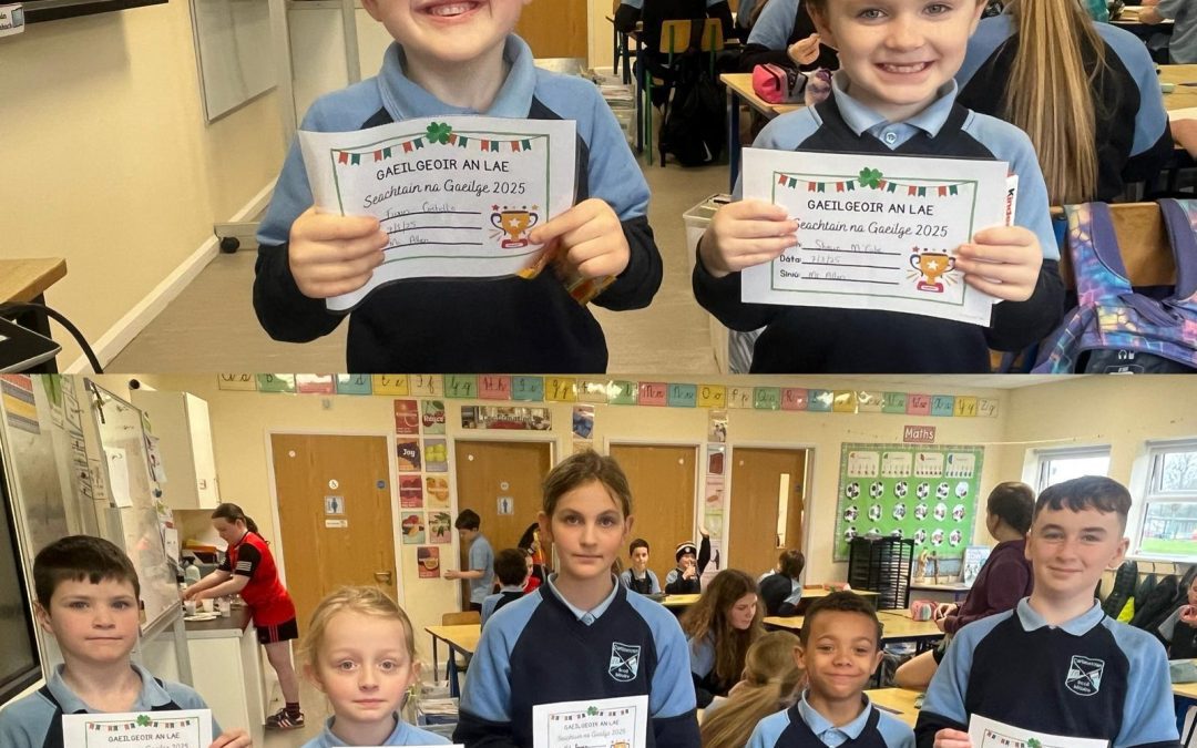 Gaelgoirí an Lae 💚🤍🧡