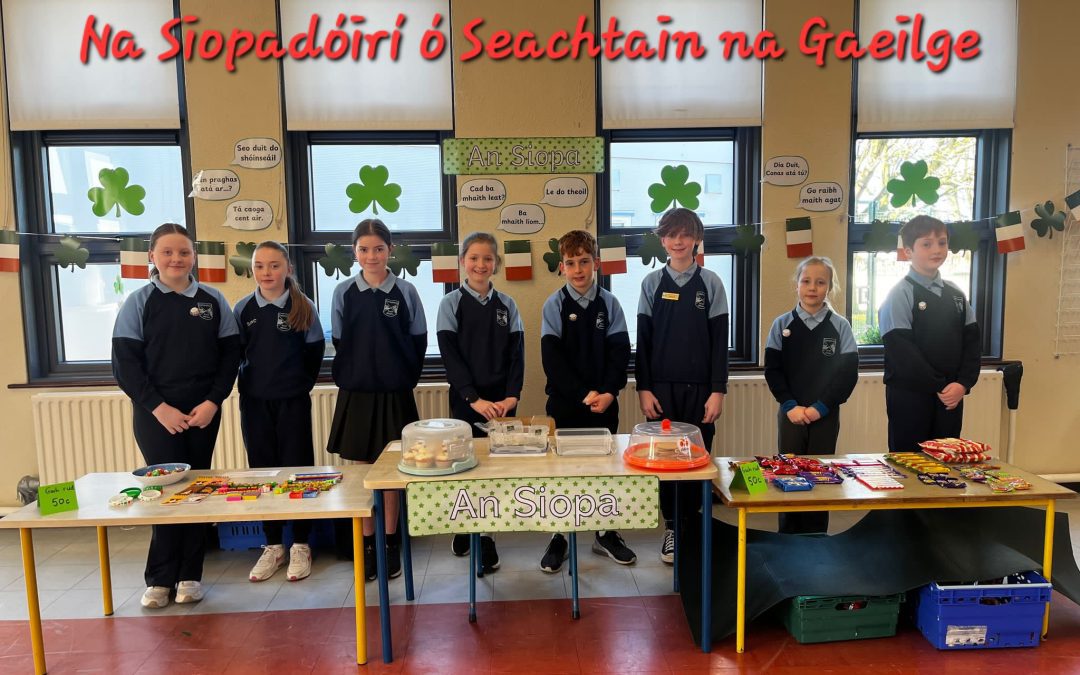 Seachtain na Gaeilge 2025💚🤍🧡