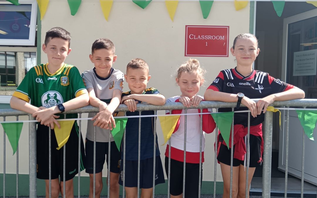 🏐💚💛 Best of Luck to the Meath Senior Football Teams! 💛💚🏐