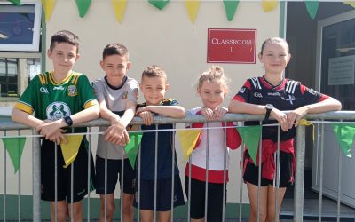 🏐💚💛 Best of Luck to the Meath Senior Football Teams! 💛💚🏐