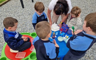 Busy Start to Term 3!