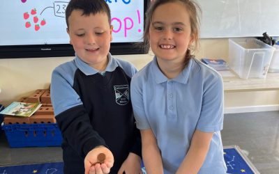 Busy..Busy..Busy….