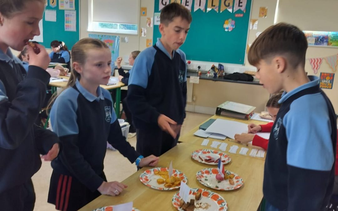 European Day of Languages 🇪🇺