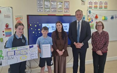 Blue Stars Programme
