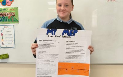M.E.P. Projects!