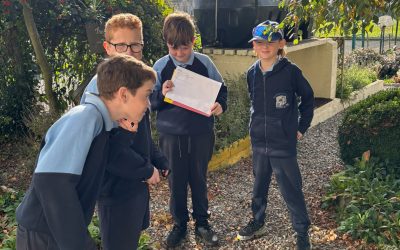 Autumn Activities in Full Swing!